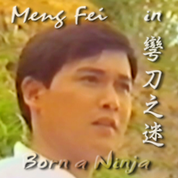 Meng Fei in 彎刀之迷 Born a Ninja 孟飛城