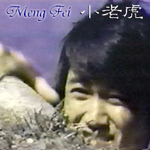 Meng Fei in The Young Tiger